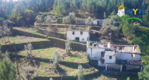 Terreno para Venda em Sertã