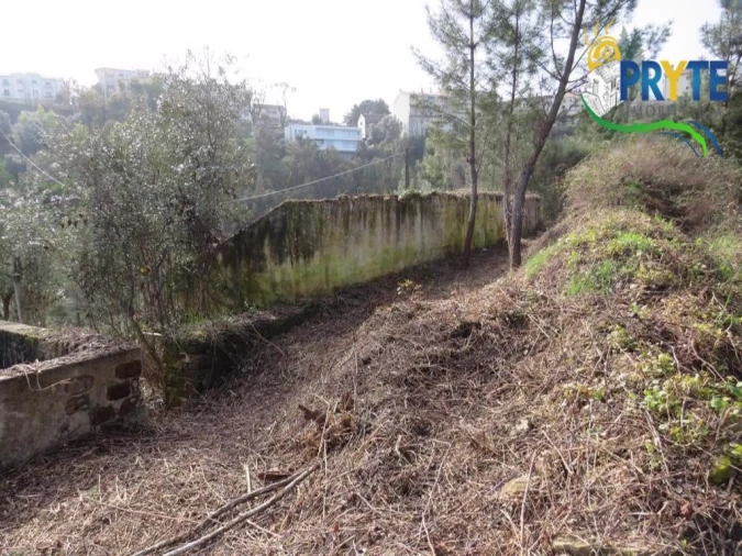 Terreno para Venda em Sertã Foto 3