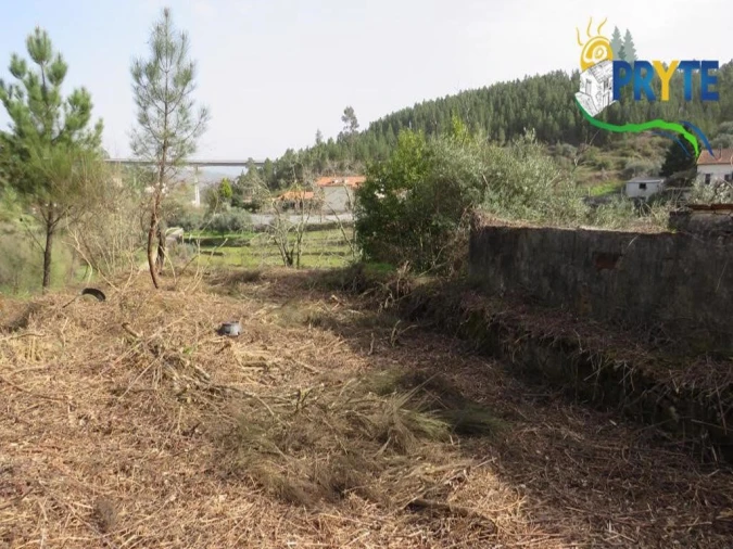 Terreno para Venda em Sertã Foto 4