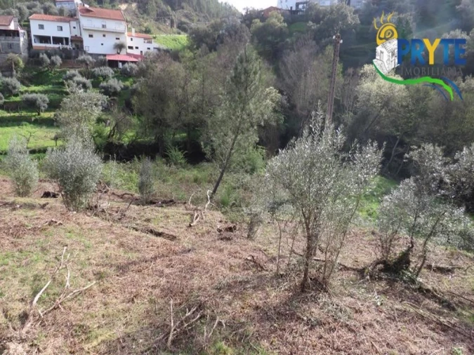 Terreno para Venda em Sertã Foto 10