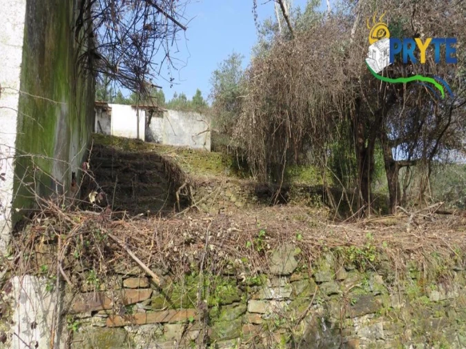 Terreno para Venda em Sertã Foto 15