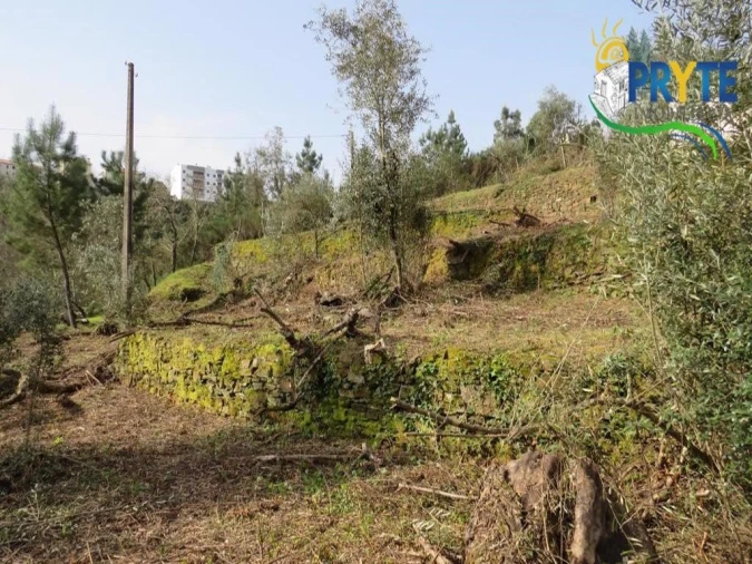 Terreno para Venda em Sertã Foto 18