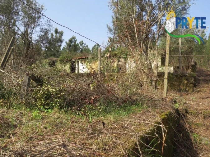 Terreno para Venda em Sertã Foto 22