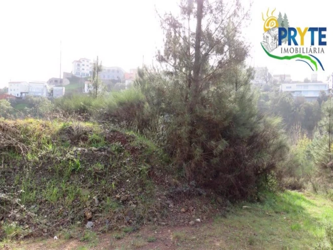 Terreno para Venda em Sertã Foto 29