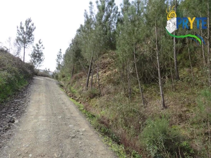 Terreno para Venda em Sertã Foto 35