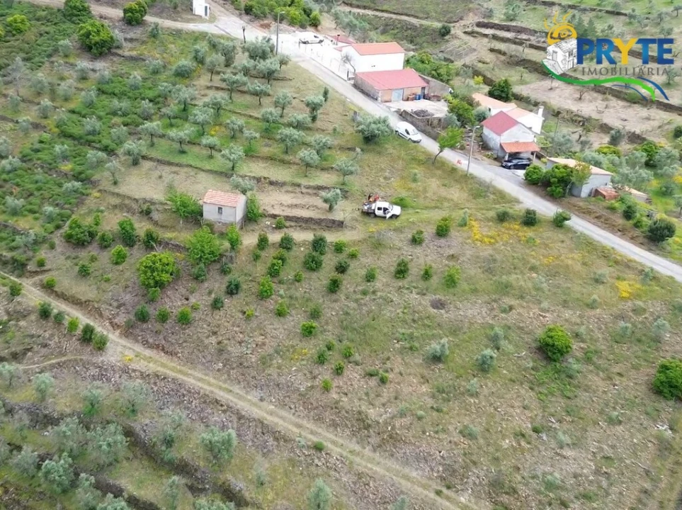 Terreno para Venda em Troviscal Foto 2