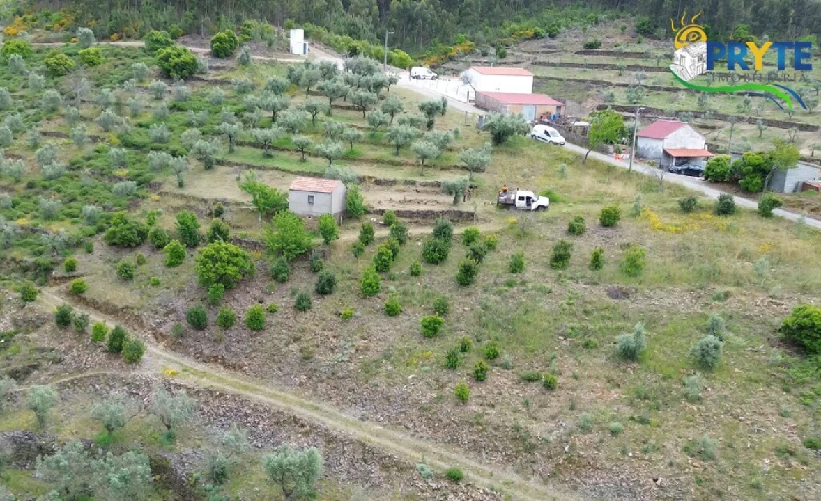 Terreno para Venda em Troviscal Foto 4