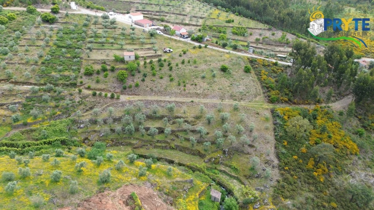 Terreno para Venda em Troviscal Foto 9