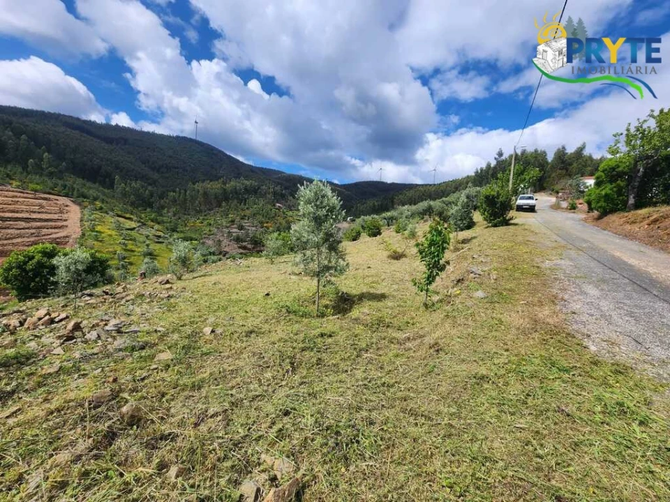 Terreno para Venda em Troviscal Foto 11