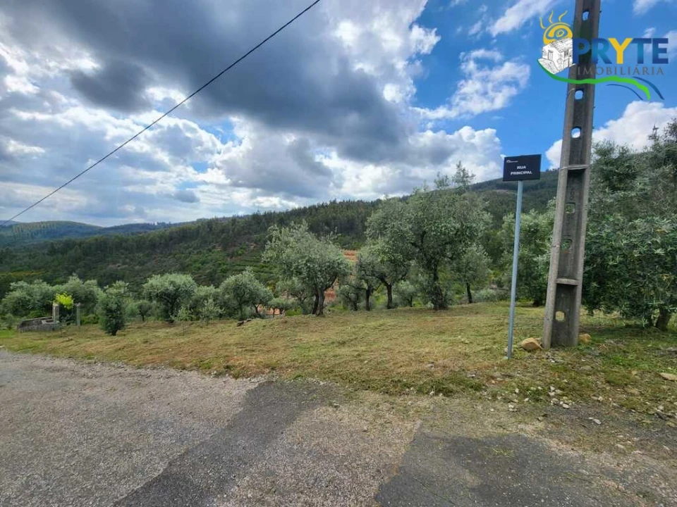 Terreno para Venda em Troviscal Foto 12