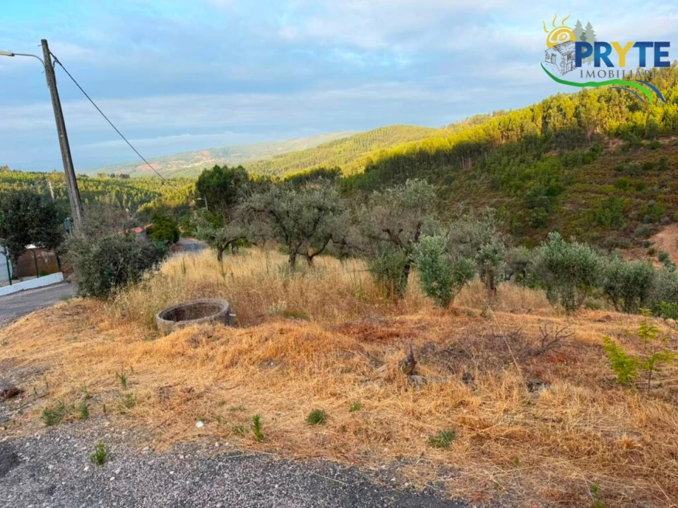 Terreno para Venda em Troviscal Foto 1