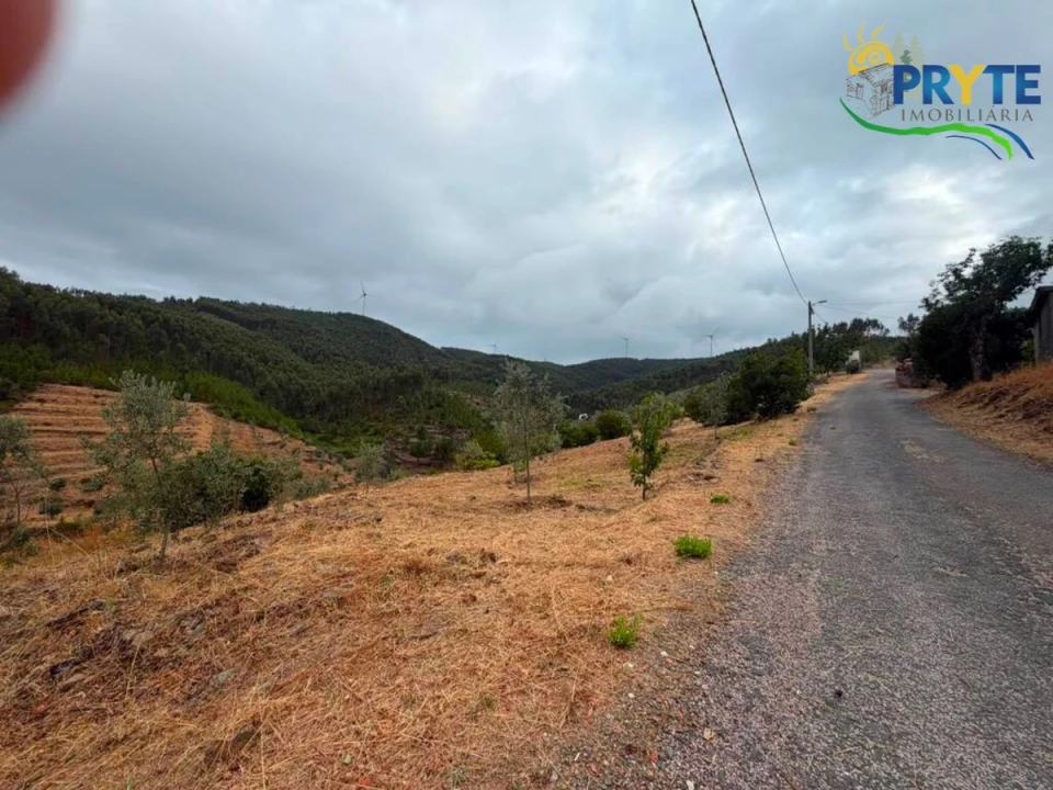Terreno para Venda em Troviscal Foto 3