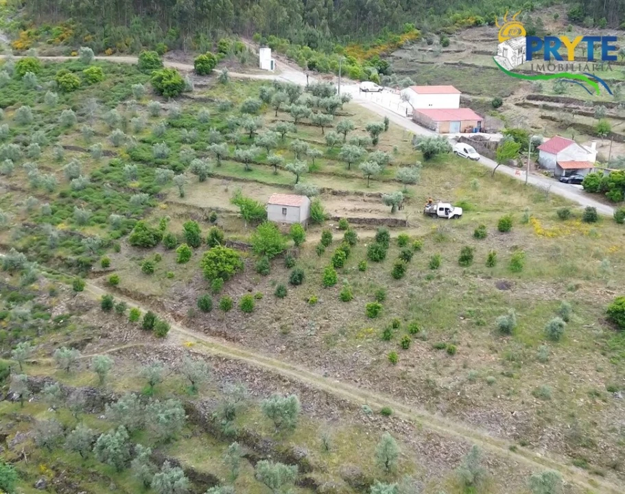 Terreno para Venda em Troviscal Foto 4