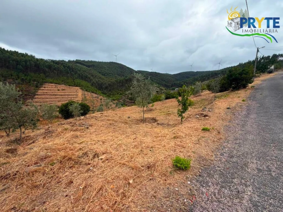 Terreno para Venda em Troviscal Foto 6