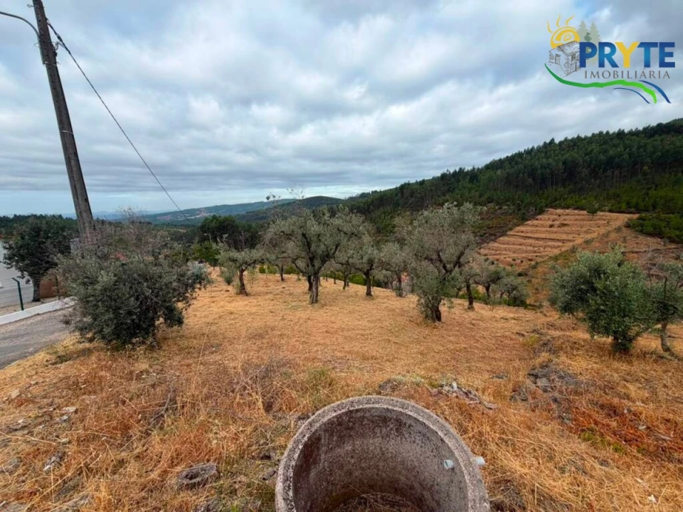 Terreno para Venda em Troviscal Foto 7