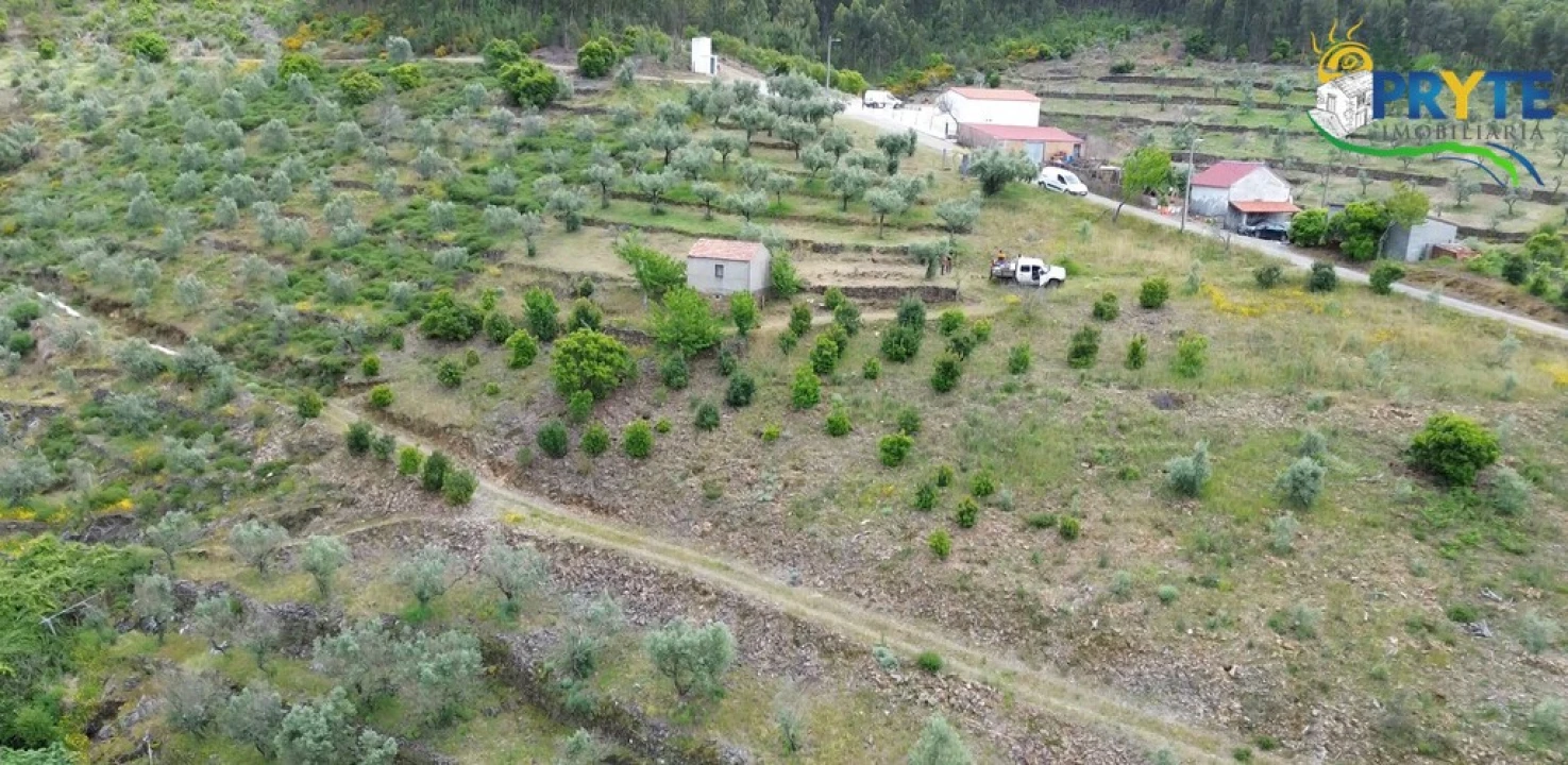 Terreno para Venda em Troviscal Foto 8