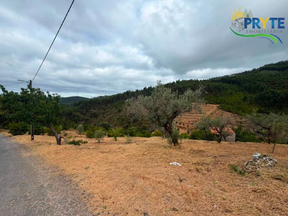 Terreno para Venda em Troviscal Foto 9