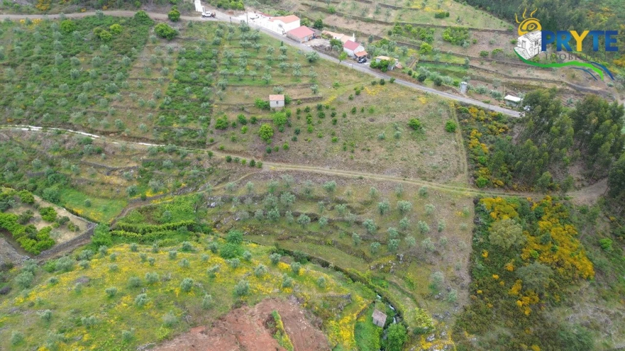 Terreno para Venda em Troviscal Foto 10