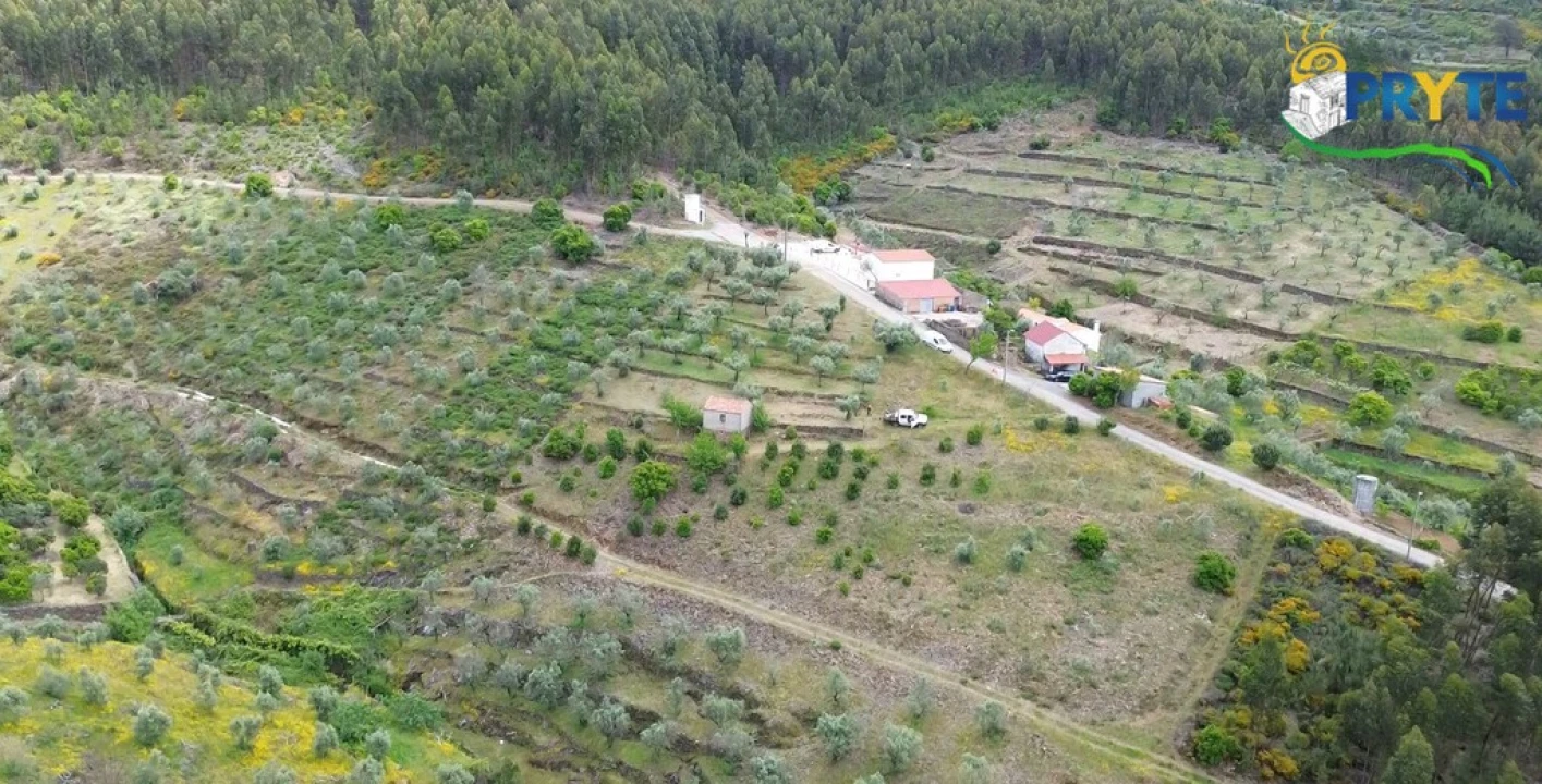 Terreno para Venda em Troviscal Foto 24