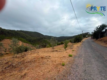 Terreno para Venda em Troviscal