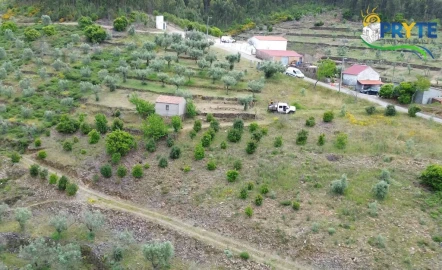 Terreno para Venda em Troviscal