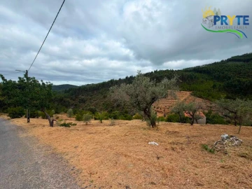 Terreno para Venda em Troviscal