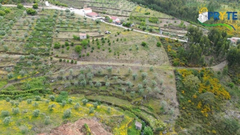 Terreno para Venda em Troviscal