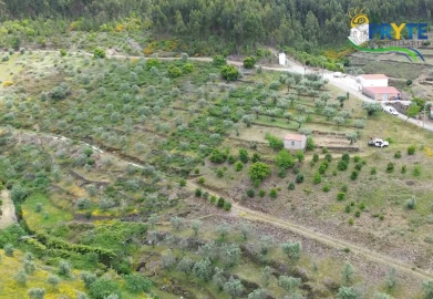 Terreno para Venda em Troviscal