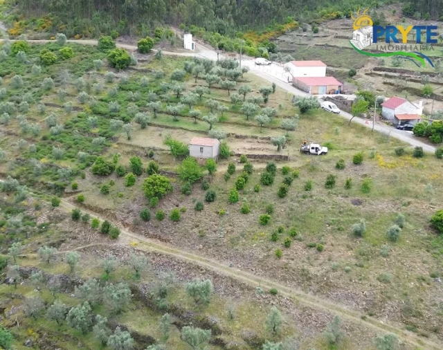 Terreno para Venda em Troviscal Foto 3