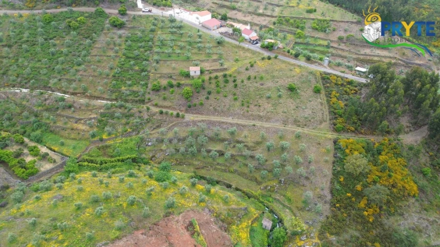 Terreno para Venda em Troviscal Foto 6