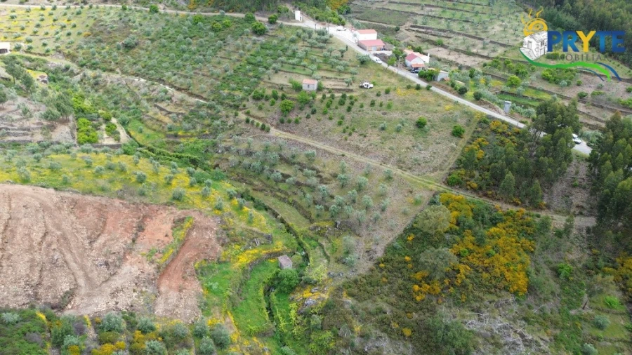 Terreno para Venda em Troviscal Foto 7