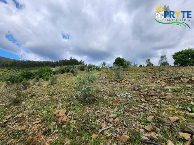 Terreno para Venda em Troviscal Foto 15