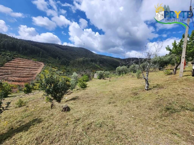 Terreno para Venda em Troviscal Foto 16