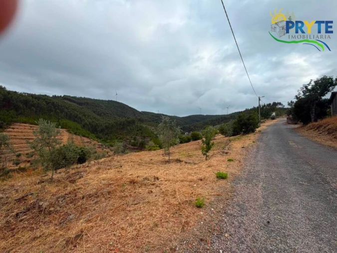 Terreno para Venda em Troviscal Foto 3