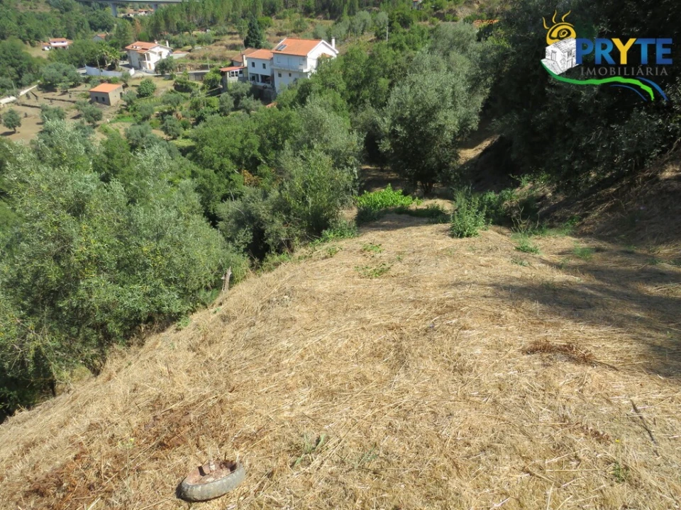 Terreno para Venda em Sertã Foto 4