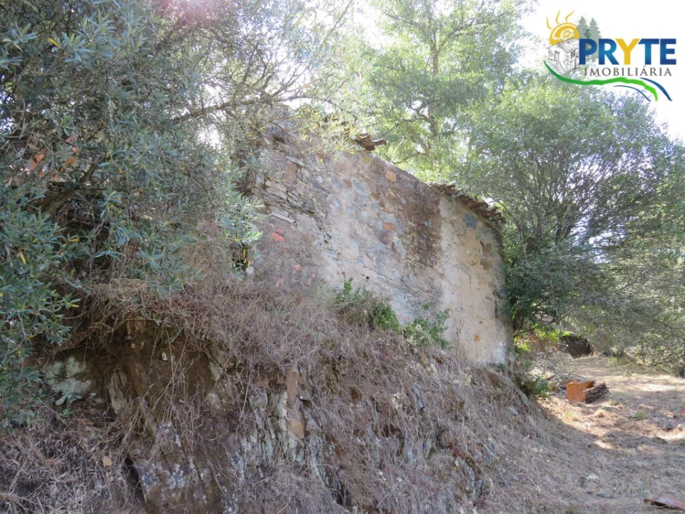 Terreno para Venda em Sertã Foto 8