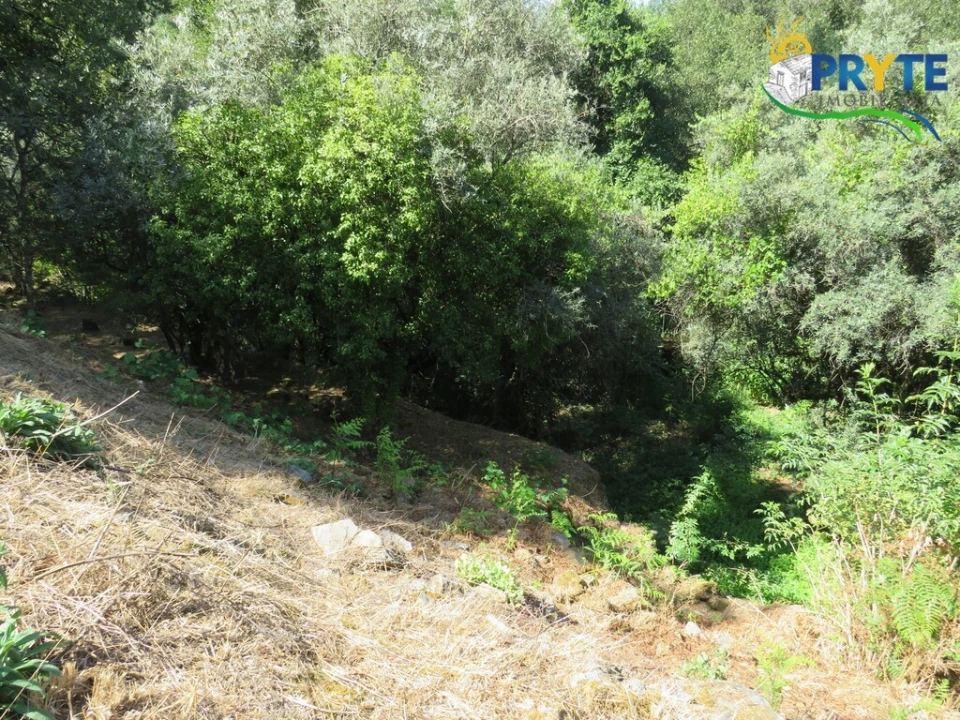 Terreno para Venda em Sertã Foto 11