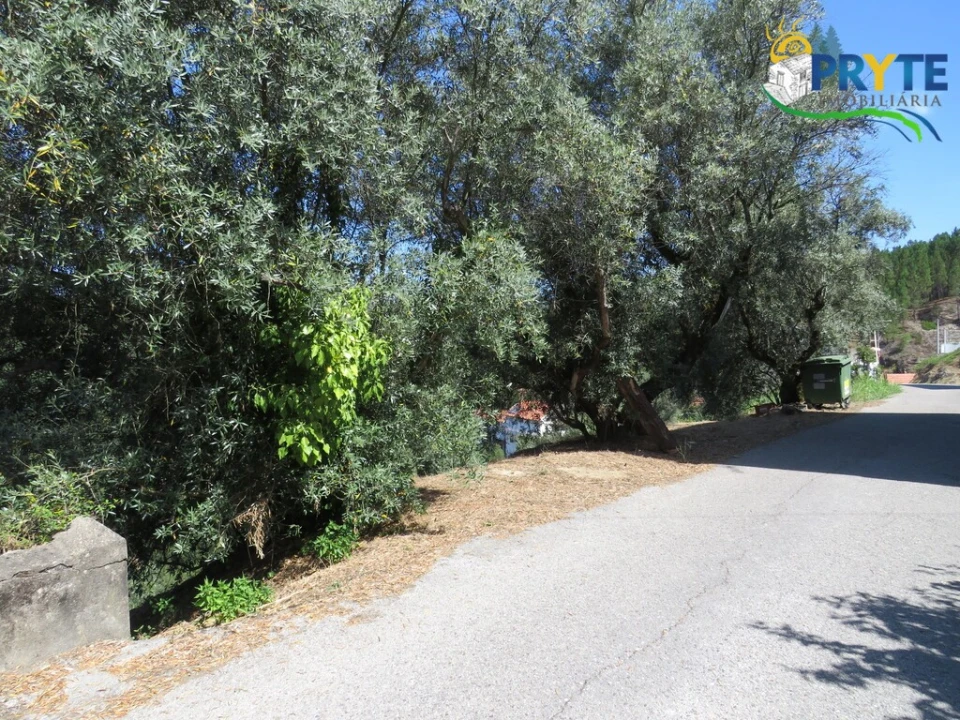 Terreno para Venda em Sertã Foto 14