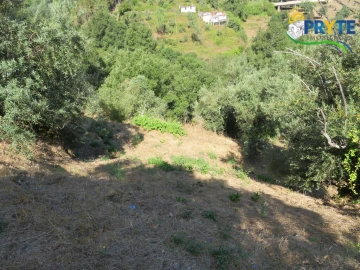 Terreno para Venda em Sertã