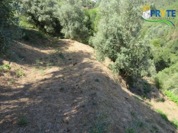 Terreno para Venda em Sertã