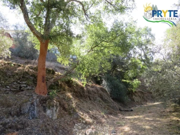 Terreno para Venda em Sertã