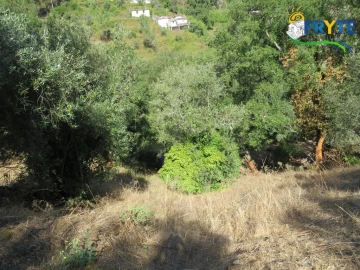 Terreno para Venda em Sertã