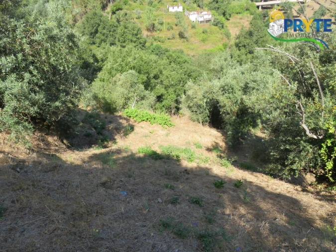 Terreno para Venda em Sertã Foto 2