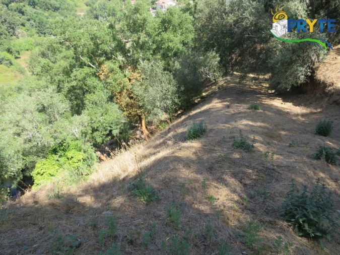 Terreno para Venda em Sertã Foto 5