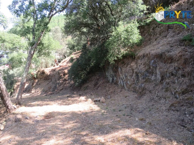 Terreno para Venda em Sertã Foto 6