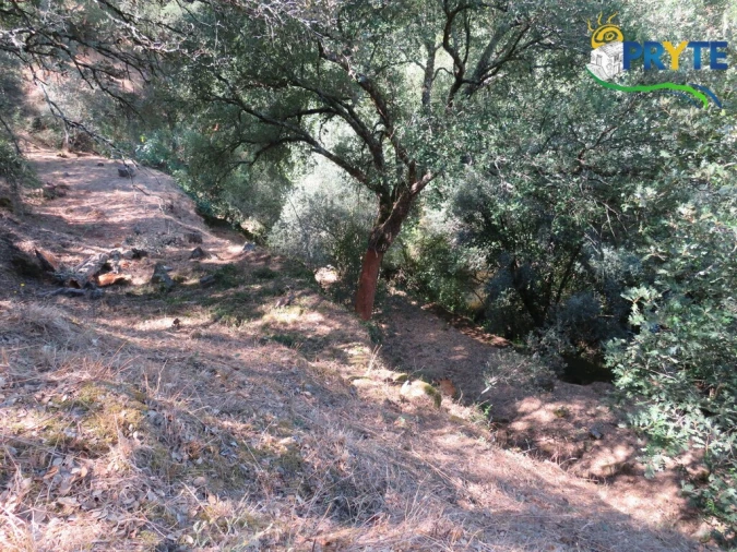 Terreno para Venda em Sertã Foto 9