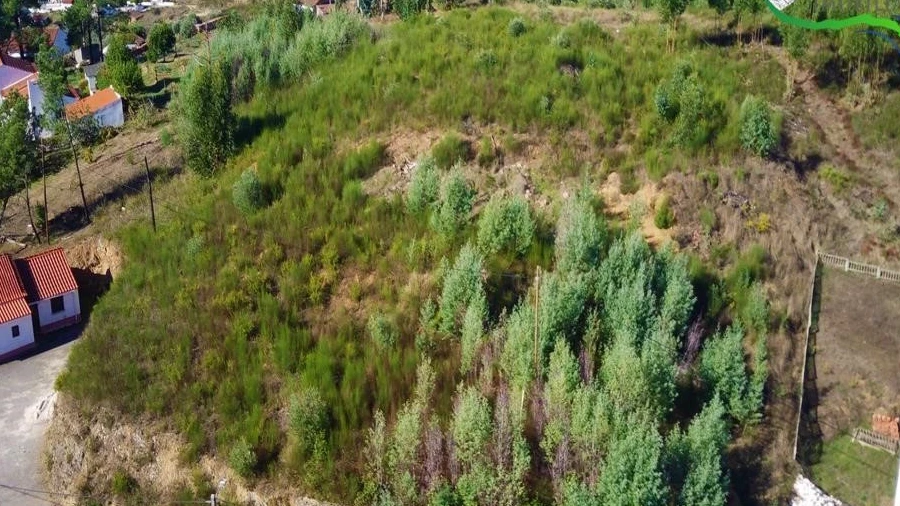Terreno para Venda em Belver