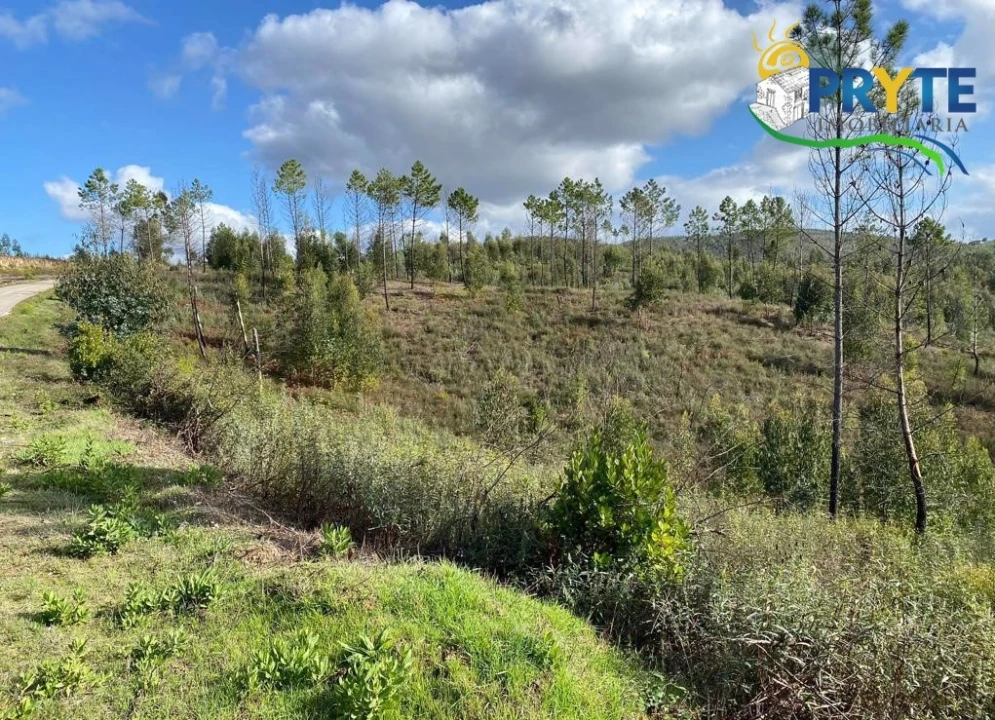 Terreno para Venda em Sertã Foto 2
