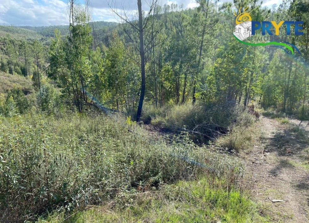 Terreno para Venda em Sertã Foto 5