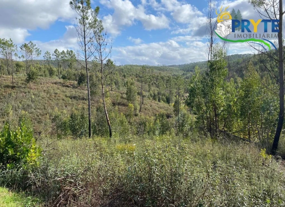 Terreno para Venda em Sertã Foto 8